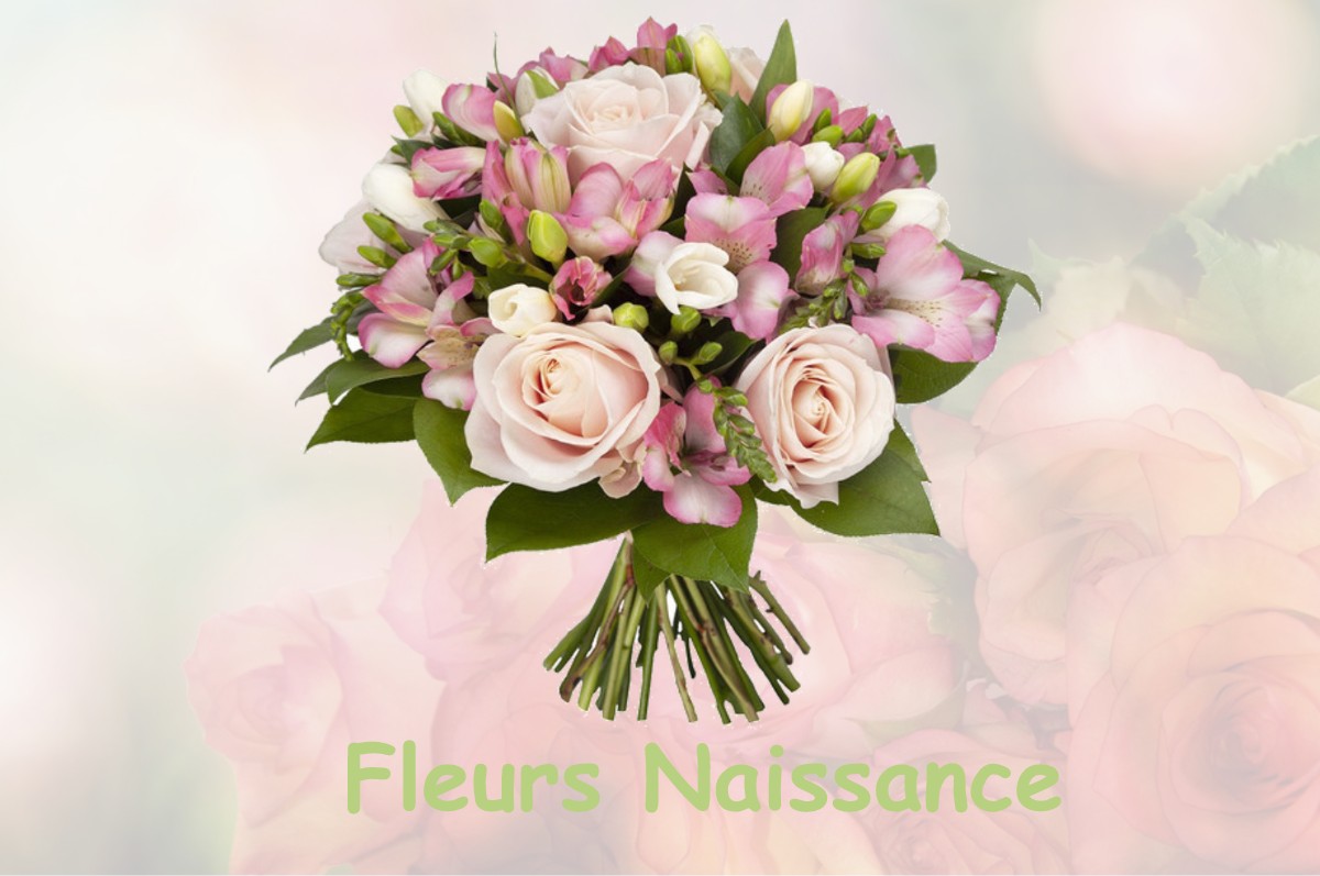 fleurs naissance NIEUL-SUR-L-AUTISE
